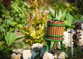 Taste of Balaton - Golf & Wine Experience